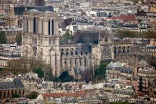 Stromy pro Notre-Dame. Francie vybírá dřevo na opravu pařížského chrámu