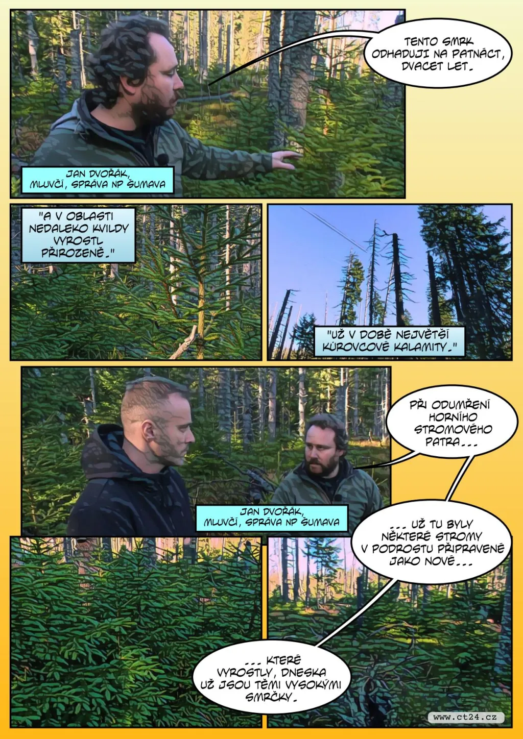 Šumavské lesy se rychle regenerují