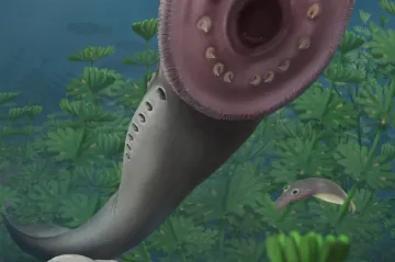 Larvy pravěkých mihulí jsou důkazem, že se věda mýlila v evoluci obratlovců