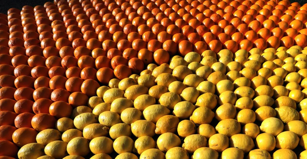 Sochy vytvořené z citronů a pomerančů jsou součástí festivalů citrusů ve francouzském městě Menton