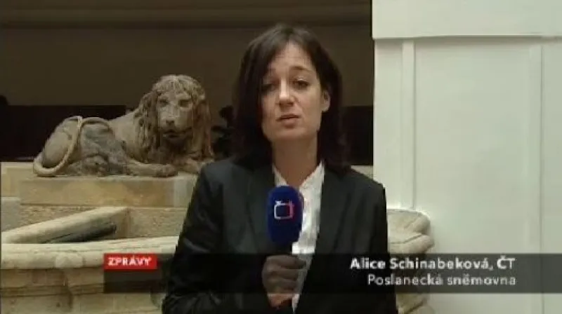 Vstup Alice Schinabekové