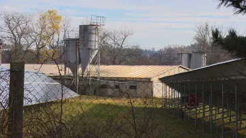 Události: Ptačí chřipka