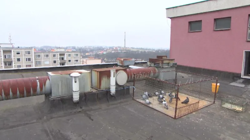 Klec na střeše panelového domu