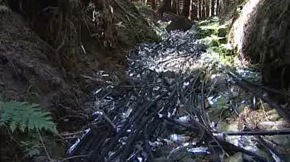 Šumavský potok plný odpadu z kabelů
