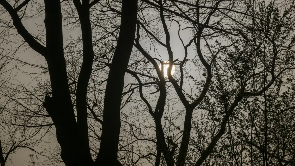 Písek ze Sahary v ovzduší