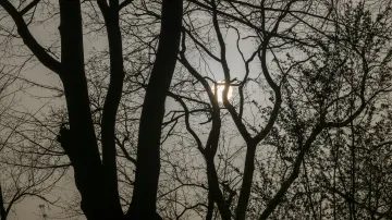 Písek ze Sahary v ovzduší