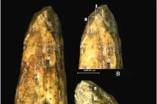 Nejstarší kostěný hrot kopí v Evropě vytvořili nejspíš zruční neandertálci