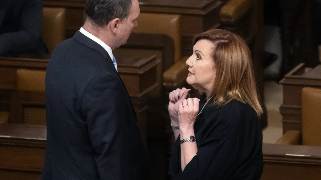 Ministryně financí Alena Schillerová (ANO)