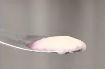 Vědci vypěstovali maso. Nová metoda umožní vybrat si, kolik tuku bude umělý steak obsahovat