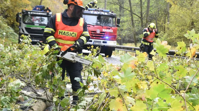 Hasiči v Karlovarském kraji odstraňují popadané stromy
