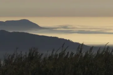 Tasmánský ráj seniorů vymírá. Ostrůvek chce nalákat mladé podnikatele