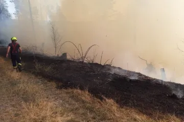 Na Svitavsku hoří les