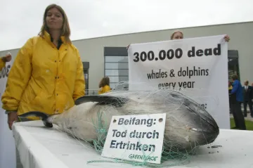 Sviňucha z Modré řeky se stala říční pandou. Vymírá, ale Čína masivně investuje do její záchrany