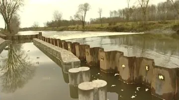 Rybí přechod na Dyji