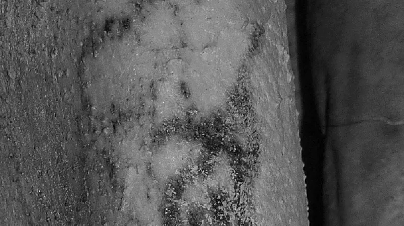 Nejstarší tetování světa