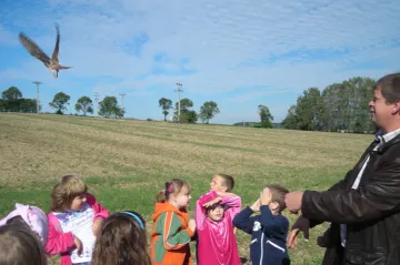 Ve Zdislavicích vypustili uzdravenou poštolku do přírody