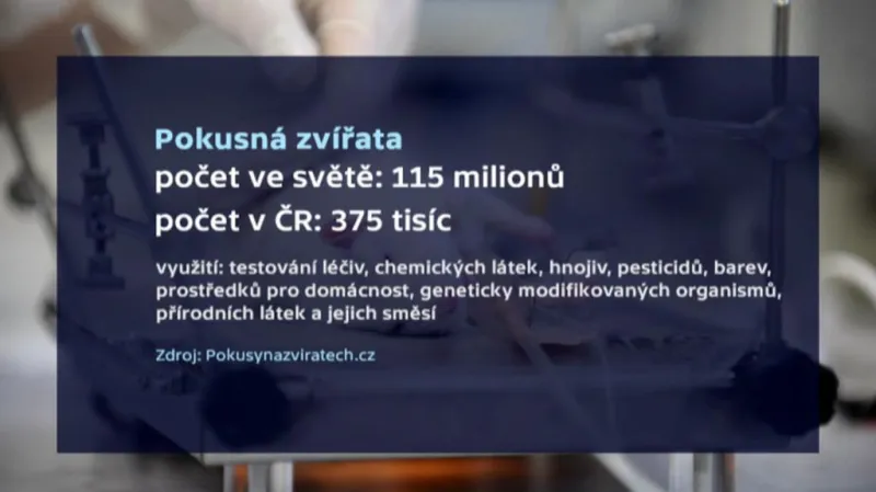 Pokusy na zvířatech