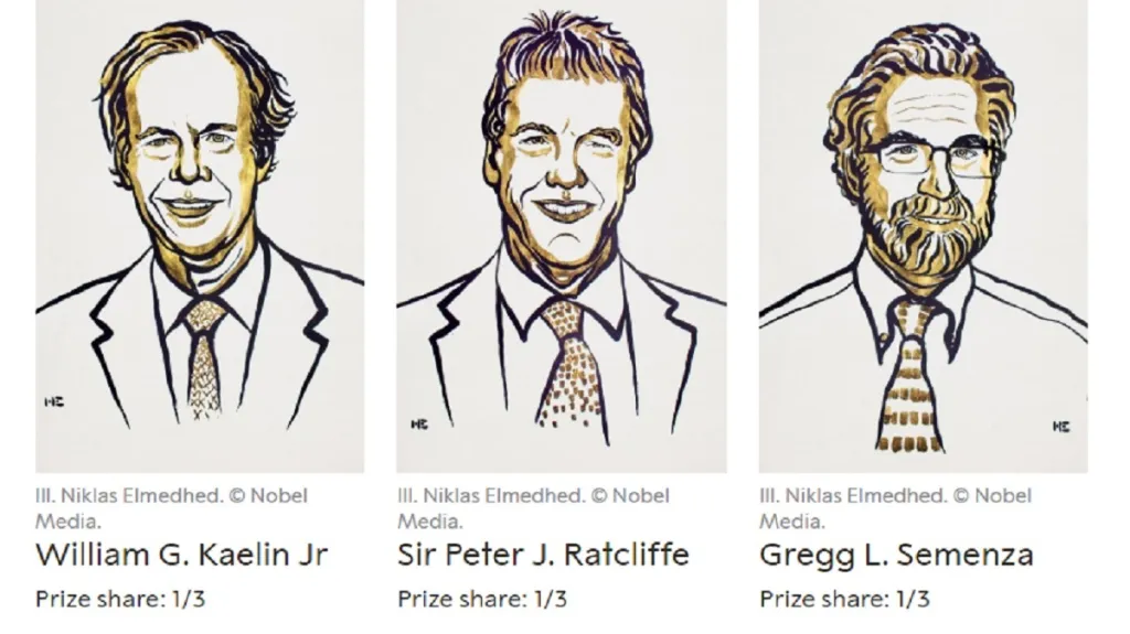 Držitelé Nobelovy ceny za lékařství 2019