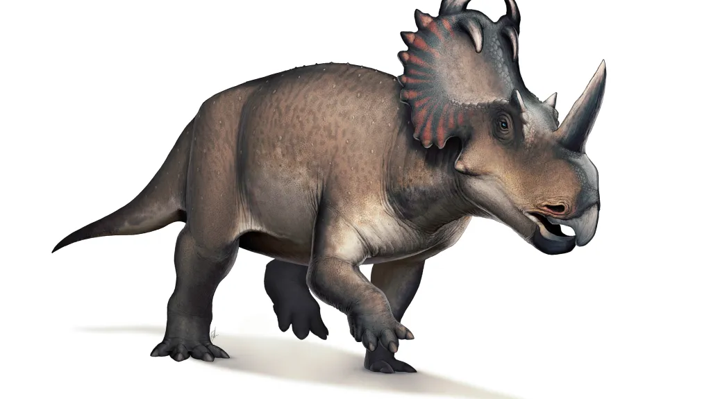 Centrosaurus