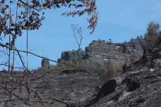 Soud nařídil vyčíslit škodu na spálených stromech v Českém Švýcarsku. Správa parku to považuje za nereálné