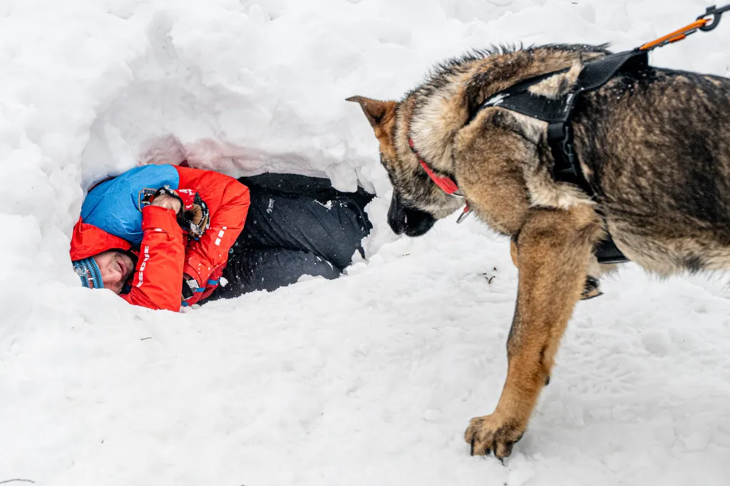 Záchranáři se psy nacvičují v Krkonoších záchranu z lavin