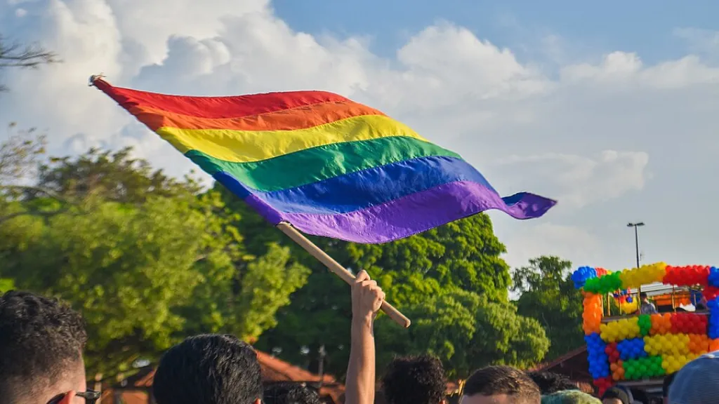 Vlajka LGBT+ komunity