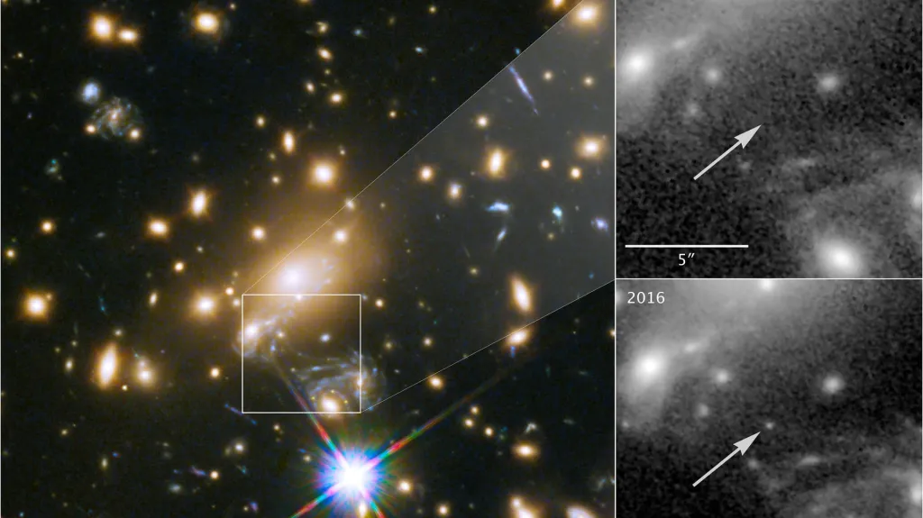 MACS J1149+2223 Lensed Star 1