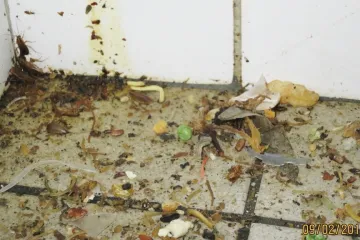 Děsivá hygiena, falšovaný med, voda v rybách a pochybné víno. Stálice v hitparádě kontrol inspekce