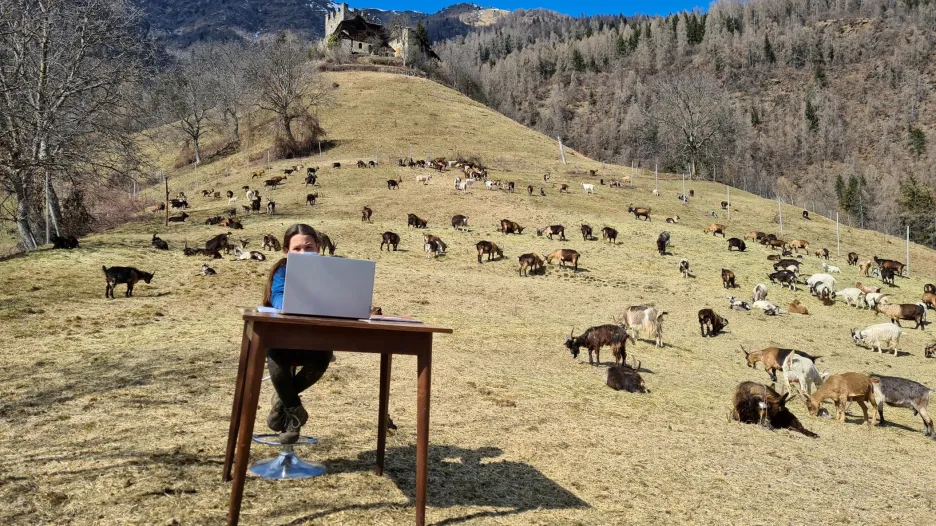 Uzavřené školy v Itálii nutí děti k on-line výuce na obvyklých i neobvyklých místech, kde se vyskytují jejich rodiče. Desetiletá dívka na snímku je obklopena stádem ovcí, které vlastní její otec v Alpách na severu země