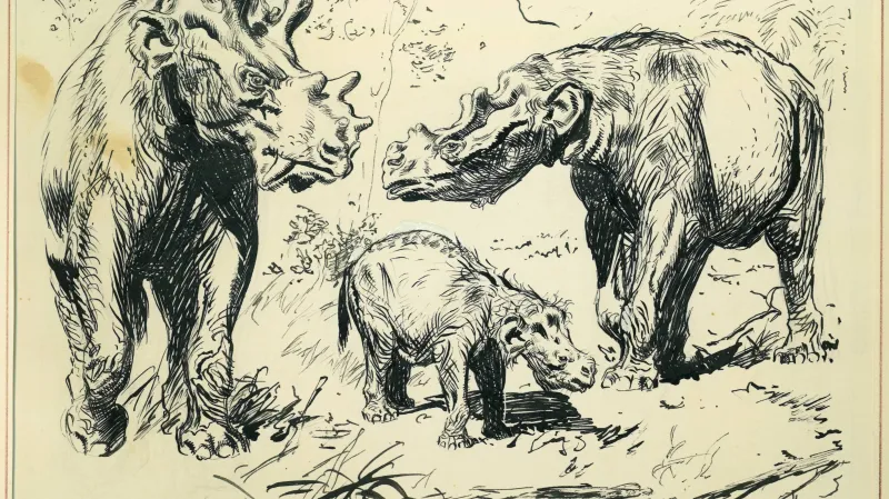 Kresba Zdeňka Buriana