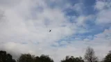 Místo výbuchu prozkoumává vrtulník s termovizí
