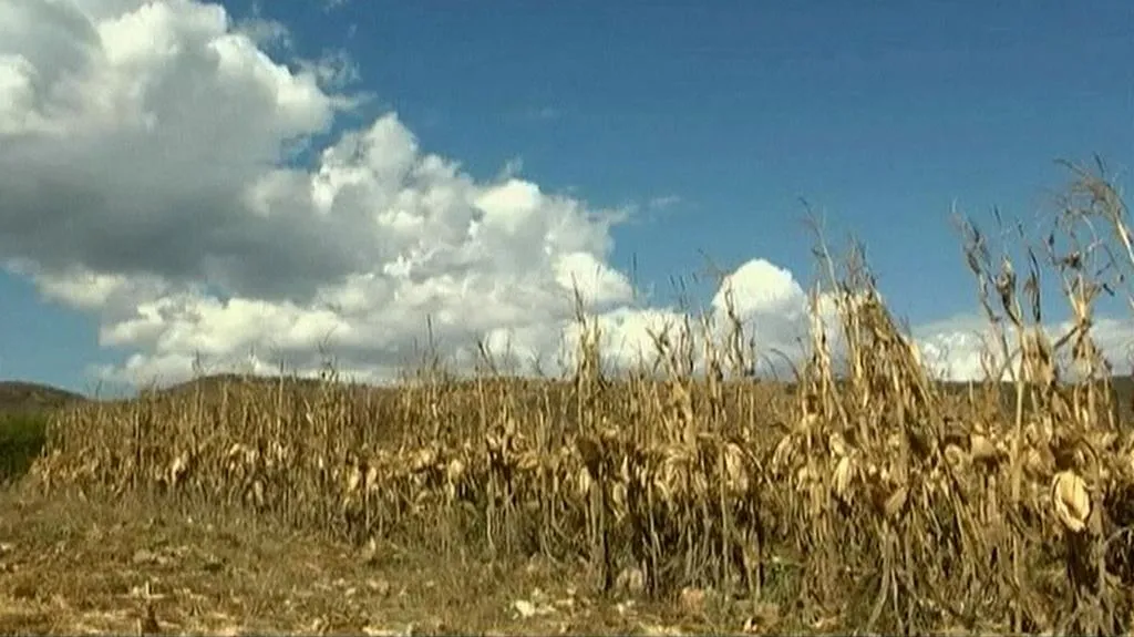 Sucho v Mexiku