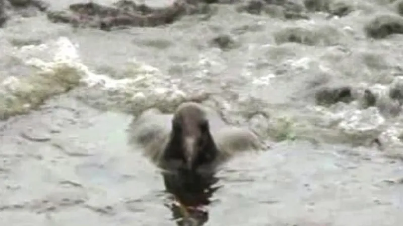 Technici BP umístili na potrubí kryt