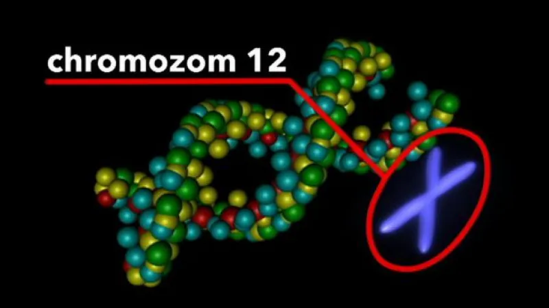 Reportáž Markéty Šenkýřové