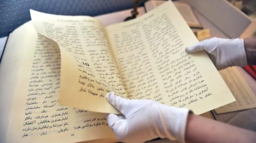 Mezinárodní Bible v 66 jazycích