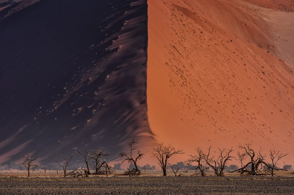 Vítěz Národní ceny Thajska. Namibijská poušť, jedna z nejstarších na planetě s železitým pískem starým 80 milionů let.