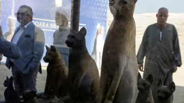 Objev hrobky s kočičími mumiemi