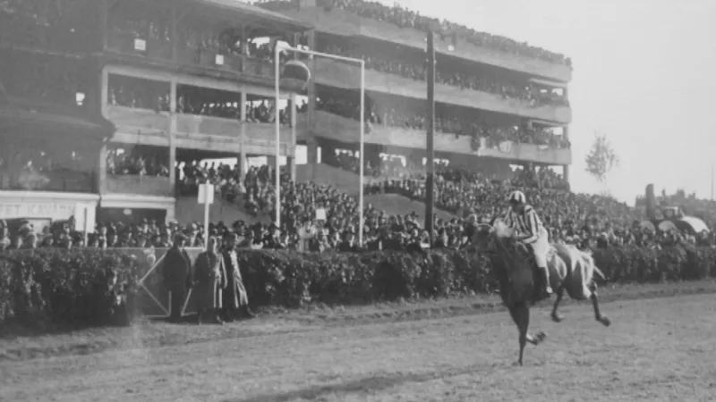 Brandisová se svou klisnou Normou v cíli Velké pardubické