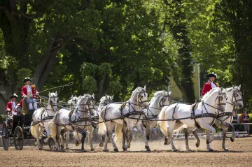 Rozmělnění davů turistů či rozšíření ochranné zóny. Kladrubský hřebčín dodatečně plní podmínky UNESCO