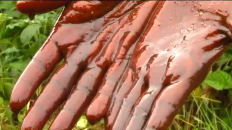 Shell přiznal odpovědnost za únik ropy v Nigérii