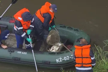 Ryby v Odře nejspíš nezabila nebezpečná látka, ukazují dosavadní výsledky vyšetřování