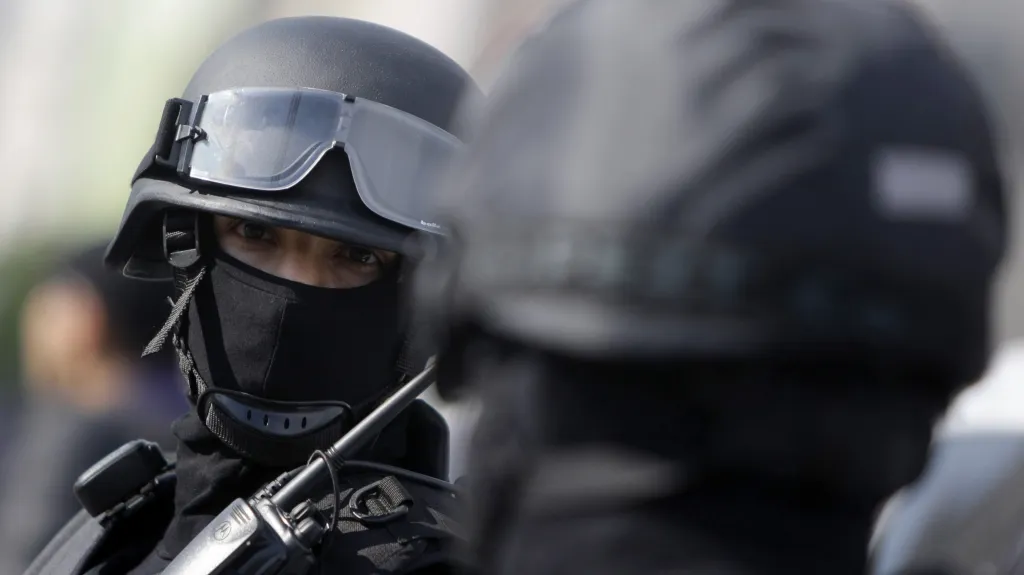 Rumunské zásahové síly