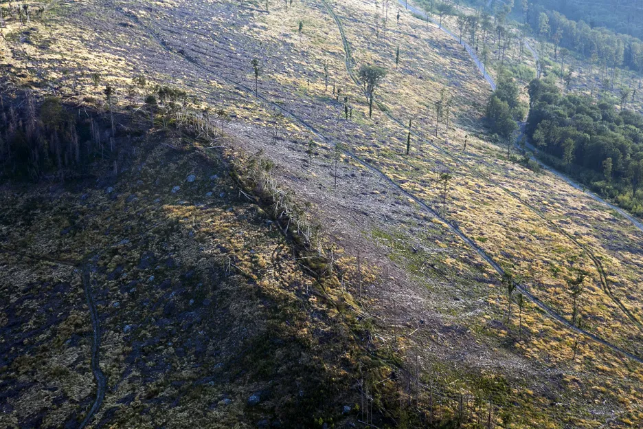 Poškození lesů zasažených kůrovcem v moravských Jeseníkách a na polské straně hranice v oblasti zvané Schronisko