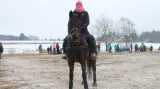 Horseskijöring v Krkonoších