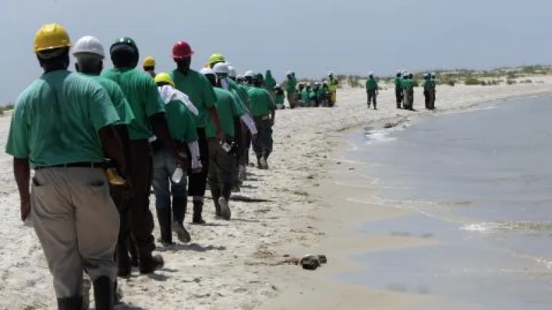 Zástup čističů najatých společností BP na pobřeží ostrova Dauphin