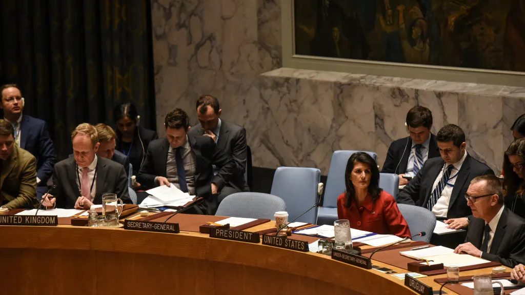 Jednání Rady bezpečnosti OSN k situaci v Sýrii