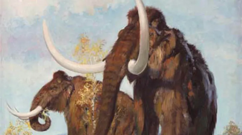 Ilustrace Zdeňka Buriana