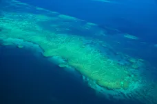 Velký bariérový útes ztratil za třicet let přes polovinu korálů, zřejmě navždy. Ničí ho podle studie změna klimatu
