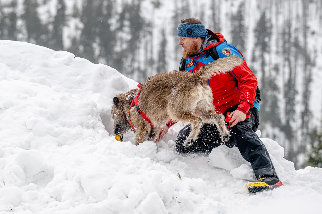 Záchranáři se psy nacvičují v Krkonoších záchranu z lavin
