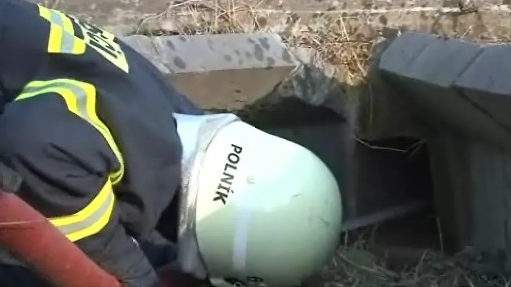 Žebětínští hasiči čistili žabí podchody, které byly po zimě zanesené listím, větvemi a blátem